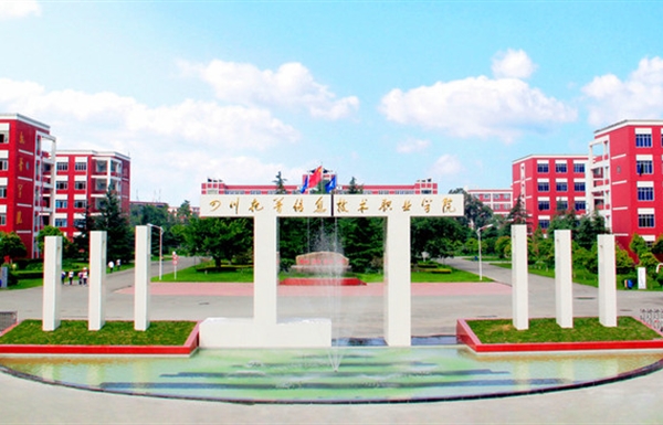 Sichuan TOP IT Vocational Institute